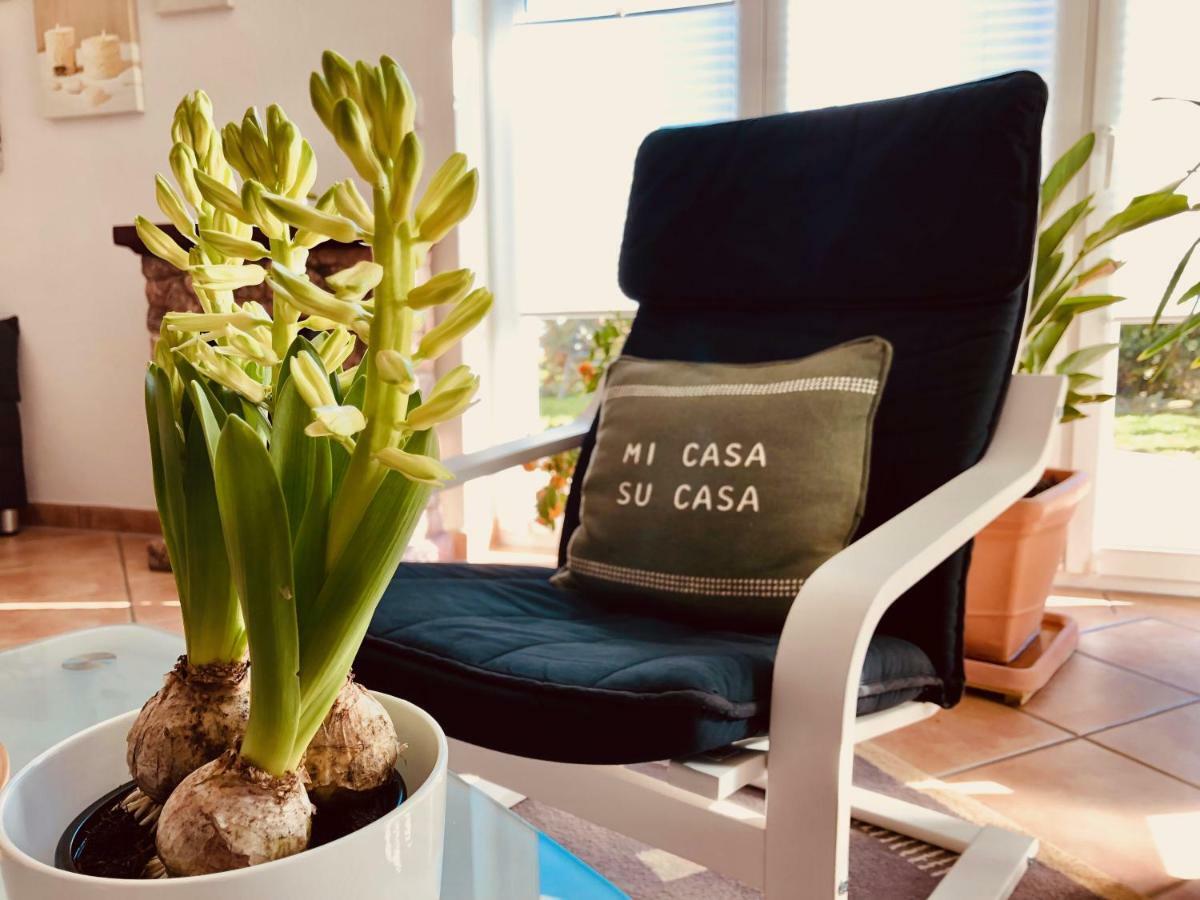 Apartment Casa Del Monte 辛斯海姆 外观 照片